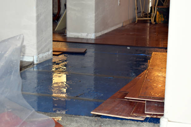 Professional Water Damage Restoration technician working in Silver City, IA